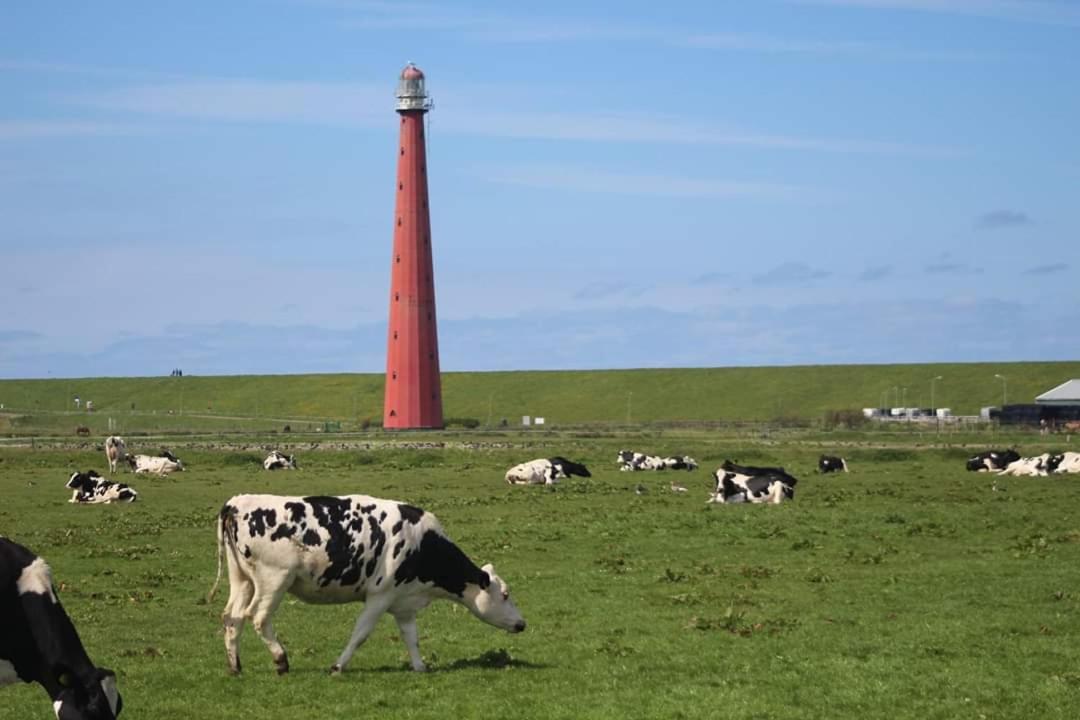 Overnachten Onder De Lange Jaap Le Helder Extérieur photo